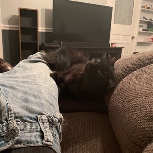 Meet your Posher, Justin